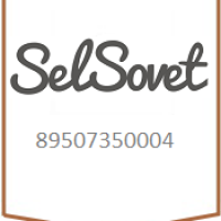SELSOVET